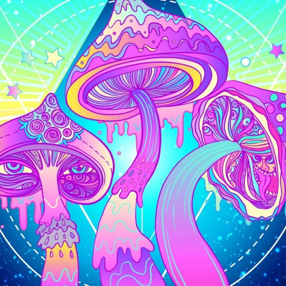 Micro Dosing - Picture 2 of 9